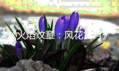 场雪月新火章焰纹公布管登库总风花 书角色