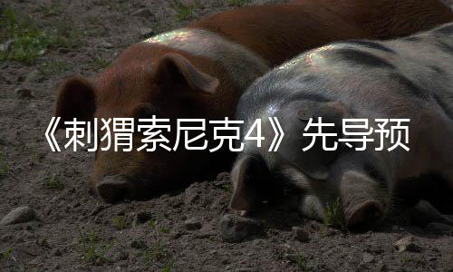 磅新猬索刺尼克先导袭来重预告空降角色强势