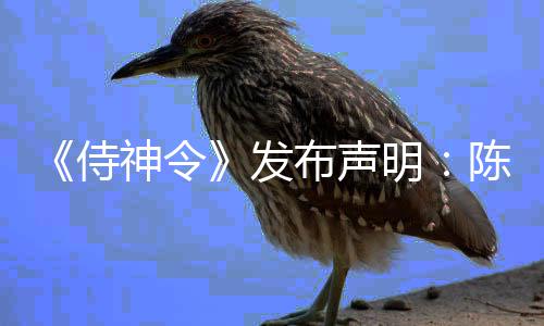 布声为电陈坤明主角影唯一男发侍神令