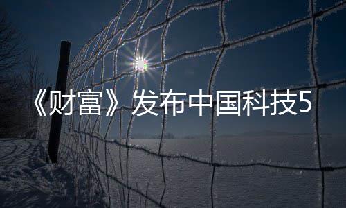 财选 小米华为中国k入科技富发布强缺席