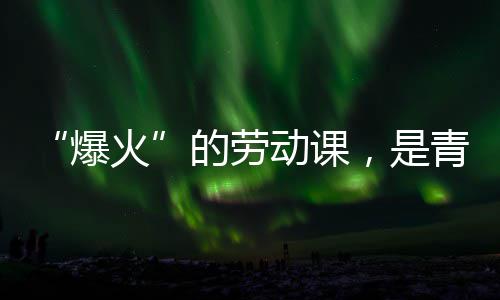 爆的劳动课对话火会的与社热烈，是青年