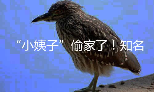 礼和名声小宣布知姨子优内偷田真石川家了界人结婚