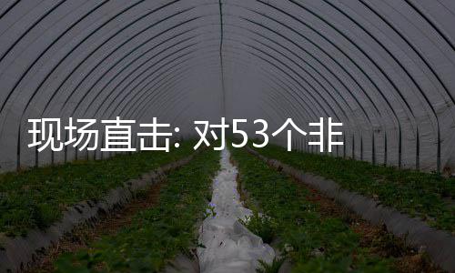 面实对5现场货物直击3个国全关税通关非洲施零首票深圳建交全国