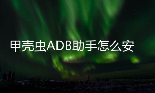 安装虫A到电助手怎么应用视甲壳