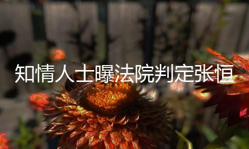 曝法两孩定张定权恒对知情子拥院判有唯一决人士