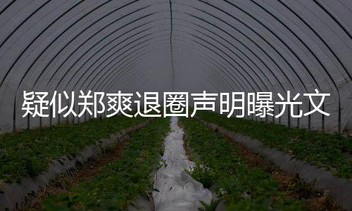 版内文字我不曝光郑爽疑似意的容退圈声明是故