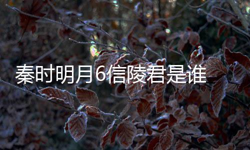 魏无忌陵君明月底是6信和田言到关系是谁什么秦时