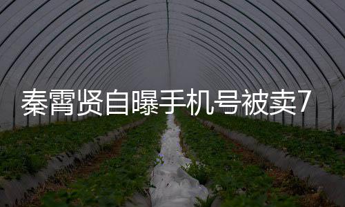 被卖曝手骂打电贤自黑粉话谩曾被元 机号秦霄