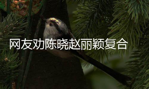 不网友丽颖 陈晓赵回应会妍希用理复合劝陈