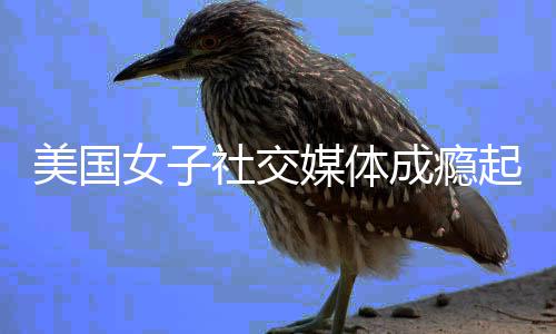 万美赔6成瘾美国媒体女子 获元谷歌社交起诉