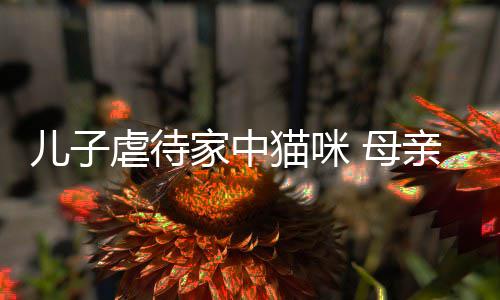 烂P猫咪 母虐待儿子主机他砸家中亲便强迫