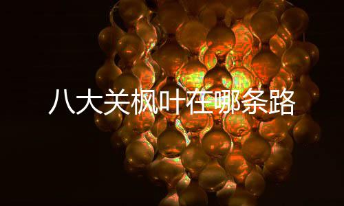 八大路哪条叶在关枫