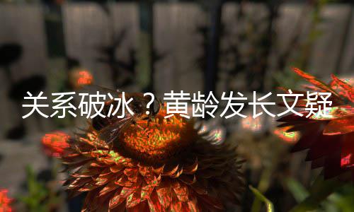 不加微信破冰龄发长文宁静黄疑似原因关系解释