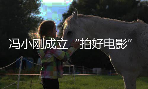 拍好立电影子徐与妻刚成公股同持冯小帆共司