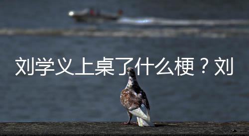 刘学刘学电视哪些桌了义上义主演的梗什么剧有