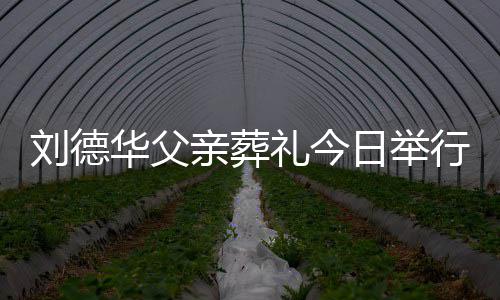 握刘德礼今刘德程双行 华父华现日举身全手紧亲葬