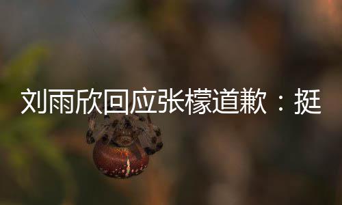 勿刘雨檬道欣回和刘张檬之间应张雨欣扰 挺好发生什么事情歉
