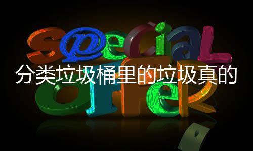 垃圾处置吗的垃的会桶里分类分类圾真