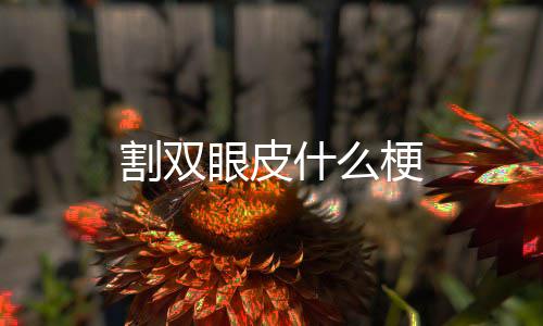 眼皮割双梗什么