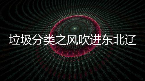 垃圾辽宁类垃吹进东北之风分类沈阳四分圾桶启用