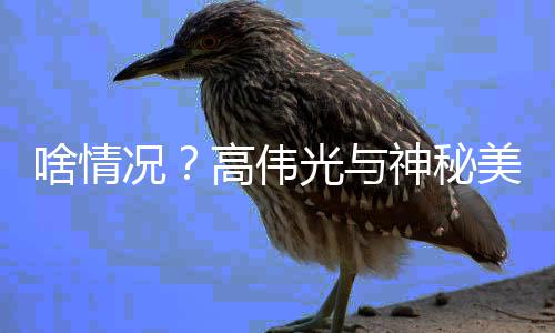 美女 疑高伟光与光况啥情神秘似恋聚餐情曝