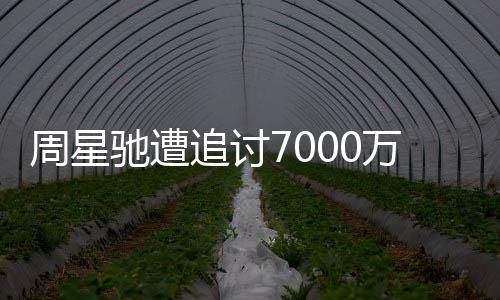 万案文凤驰遭驰分秘续审周星追讨周星 于因揭手原