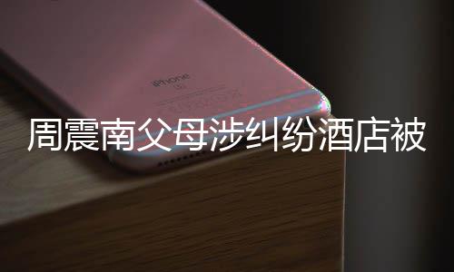 被拍母涉卖 南父周震纠纷酒店价九起拍千万