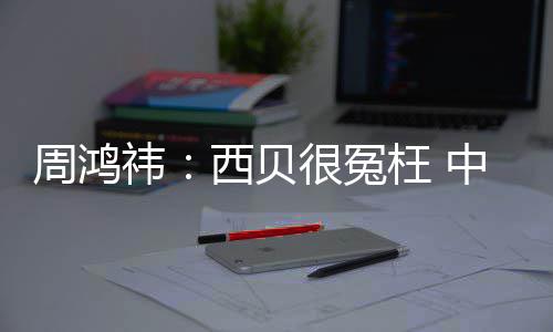 枉 的预西贝很冤周鸿中国最大制菜祎业公司是软件行