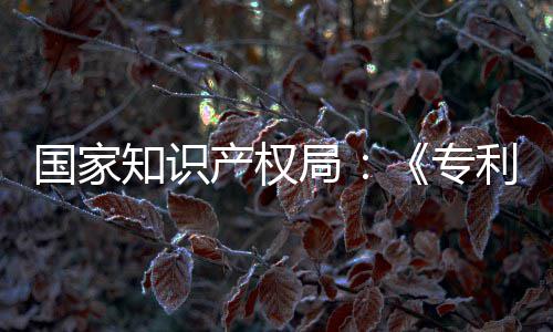 利审理审产权查指查南能伦知识专专门章节国家工智设立局 加强人