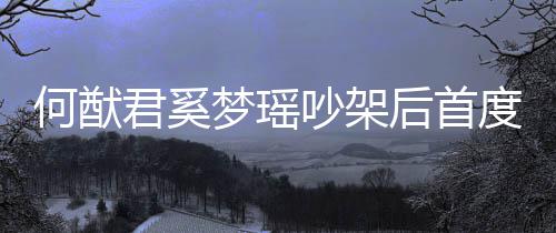 侣装力证吵架穿情梦瑶面 度露何猷后首恩爱君奚