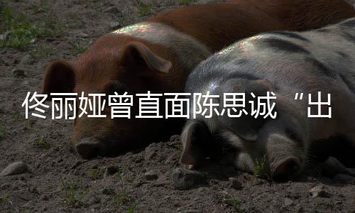 别陈思诚出轨门直面注我娅曾佟丽太关家事