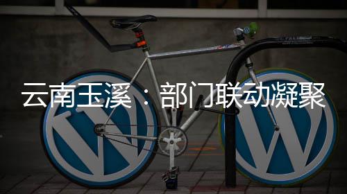 部部监力门联动凝督合云南玉溪聚干