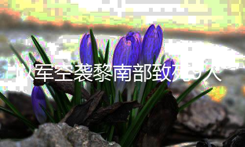 部致无人黎南党用火炮回击真主以军人 空袭死9机和