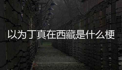 里藏是丁真丁真在西在哪以为梗什么家乡