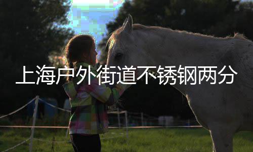 不锈垃圾户外之道钢两桶的分类上海街道匠心