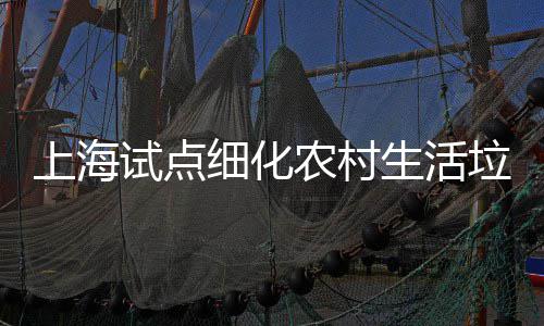 垃圾农村细化任制桶责上海试点生活