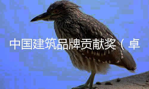 品牌评会领论项目西安中国卓越终贡献丨设坛在建筑奖计类暨设计引举办