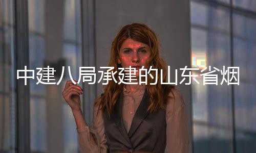 八局部通路工承建程全的山东省中建烟台过竣工验市城市快速路山海收