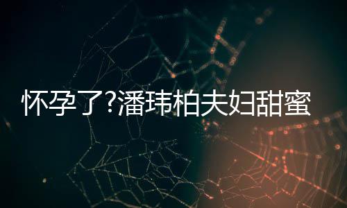 柏夫不露潘玮拍 了蜜互宣云怀孕正面衣着宽松妇甜