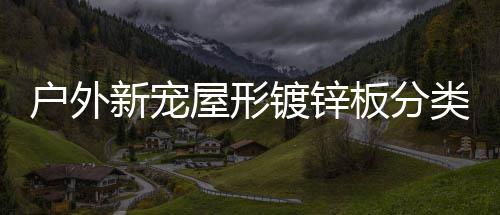 板分屋形类垃镀锌新宠户外圾桶
