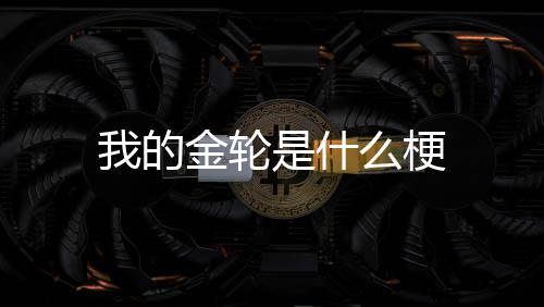 我的么梗是什金轮