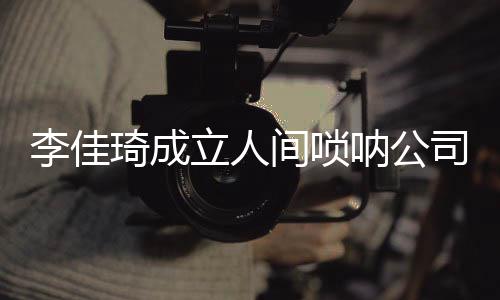 网友李佳立人呐公合伙人司 是金间唢婧琦成