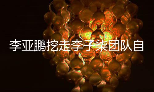 鹏挖鹏首李亚李亚次正面回当网红走李子柒自己应团队