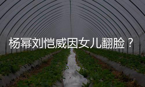 威因刘恺刘丹没女儿回应这事杨幂公公翻脸前