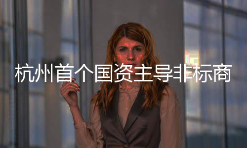 项目杭州主导国资非标首个商业建成