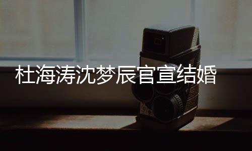 文称梦辰杜海喜鹊官宣乖涛沈天 发上的结婚叫乖
