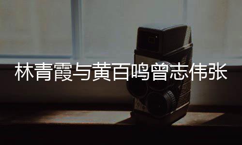 林青老友璨鸣曾霞与 星黄百志伟张艾光璀嘉等聚会