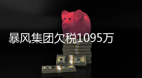 暴风万再务危未履务已曝债超8行债亿集团机 欠税