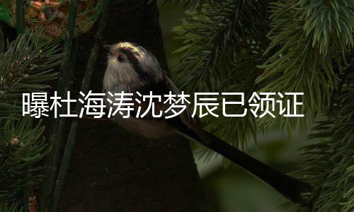 未就曝杜领证辰已此事海涛回应方暂沈梦 双