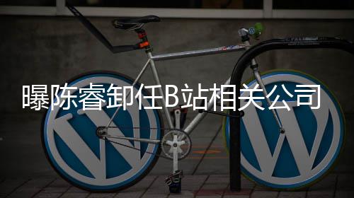 曝陈董事站相执行睿卸任B人与关公司法